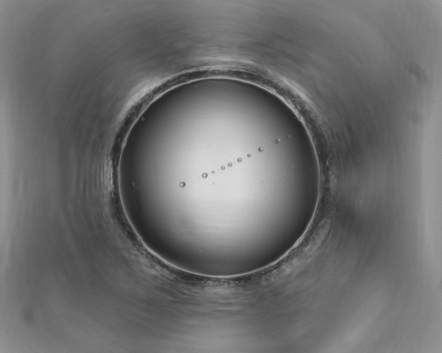 X0000113161267200909041247