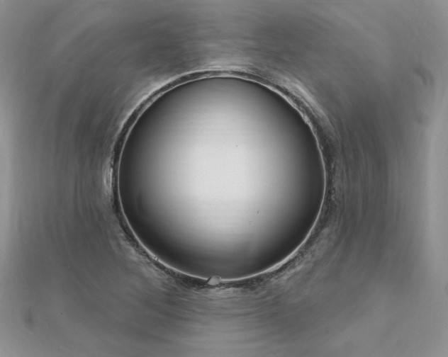 X0000113161268200909041247