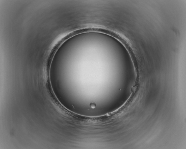 X0000113161271200909041247