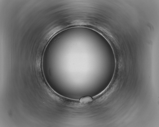 X0000113161273200909041247