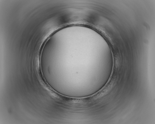 X0000113161274200909041247