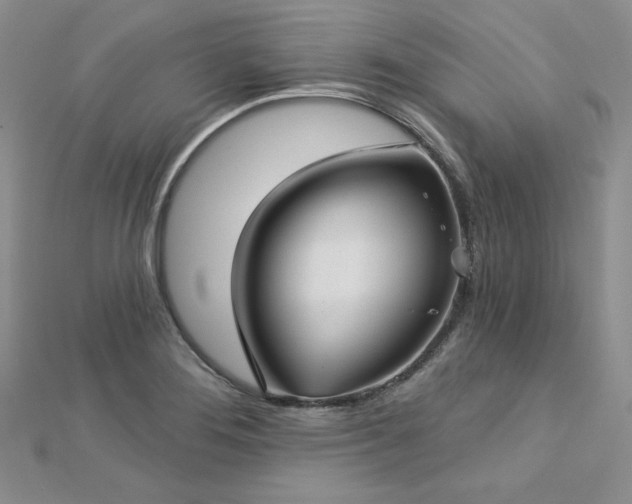 X0000113161276200909041247