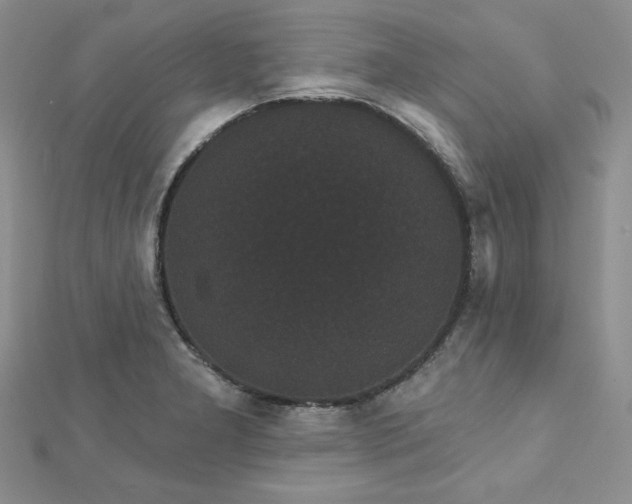 X0000113161277200909041247