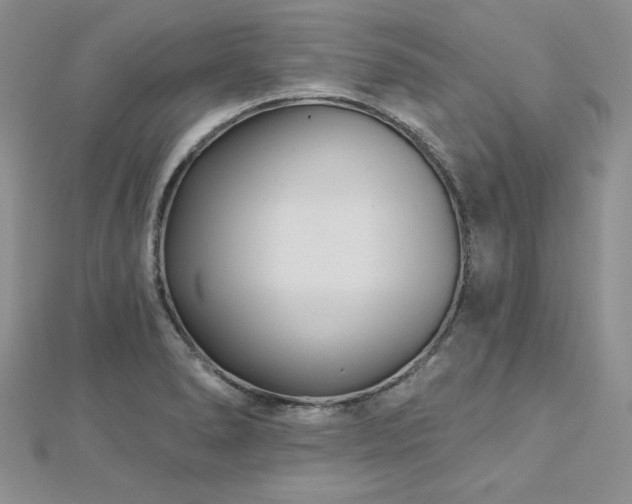 X0000113161278200909041247