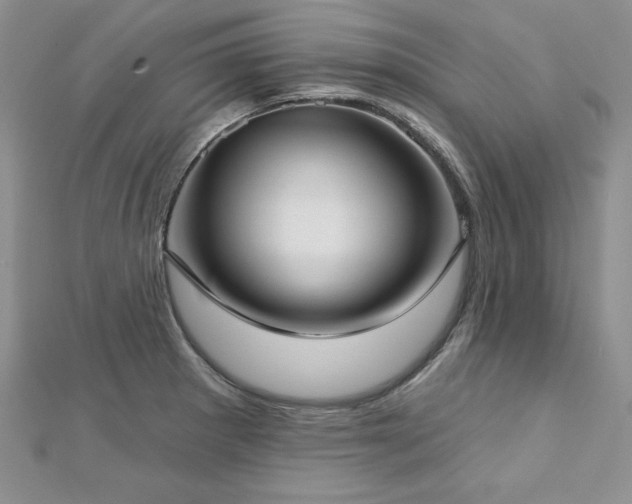 X0000113161281200909041247