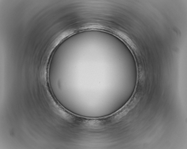 X0000113161282200909041247