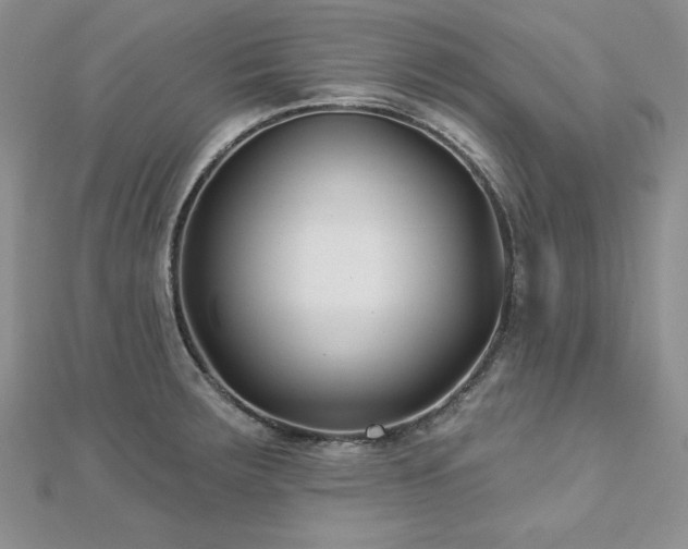 X0000113161283200909041247