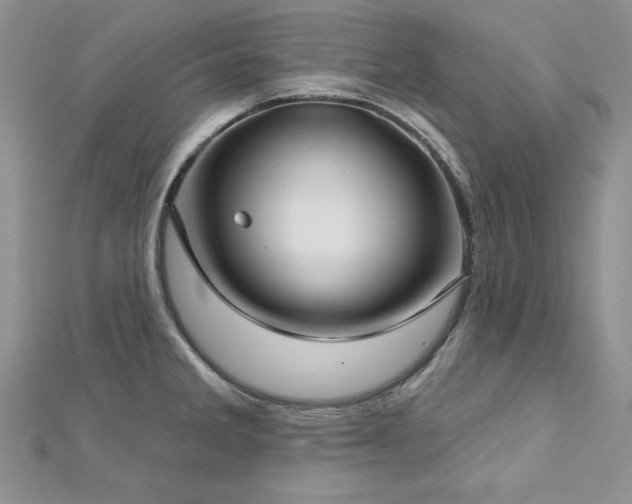 X0000113161285200909041247