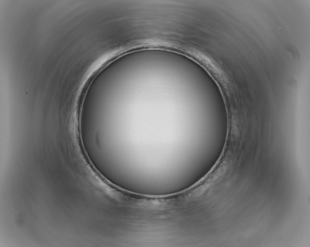 X0000113161286200909041247