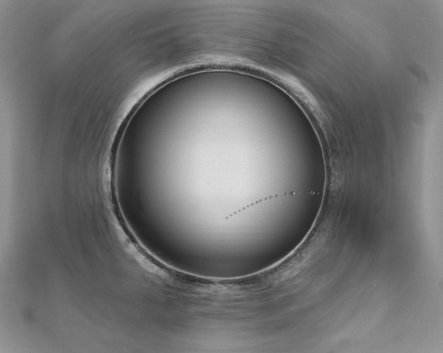 X0000113161287200909041247