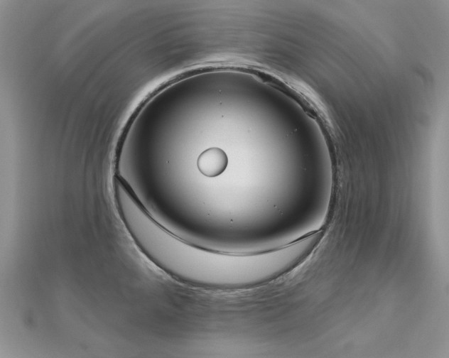 X0000113161288200909041247