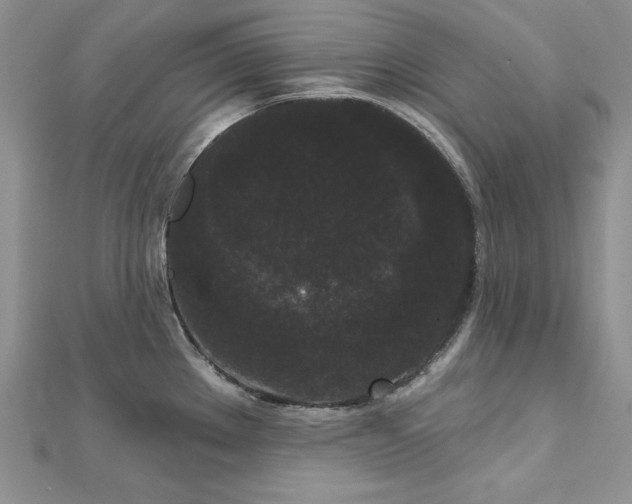 X0000113161289200909041247