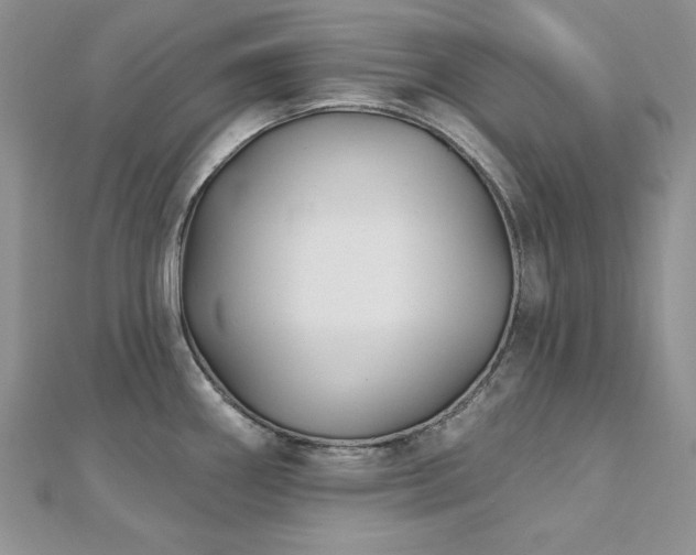 X0000113161290200909041247