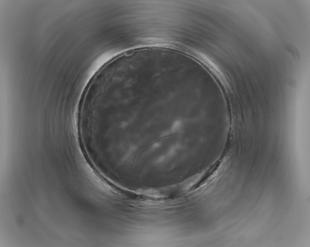 X0000113161291200909041247