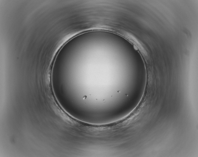 X0000113161292200909041247