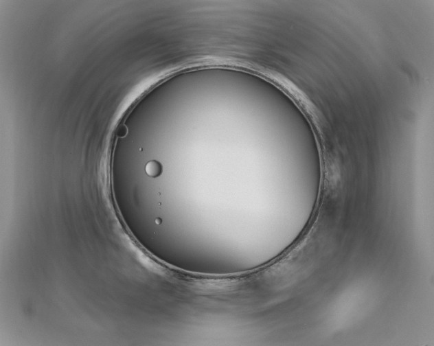 X0000113161294200909041247