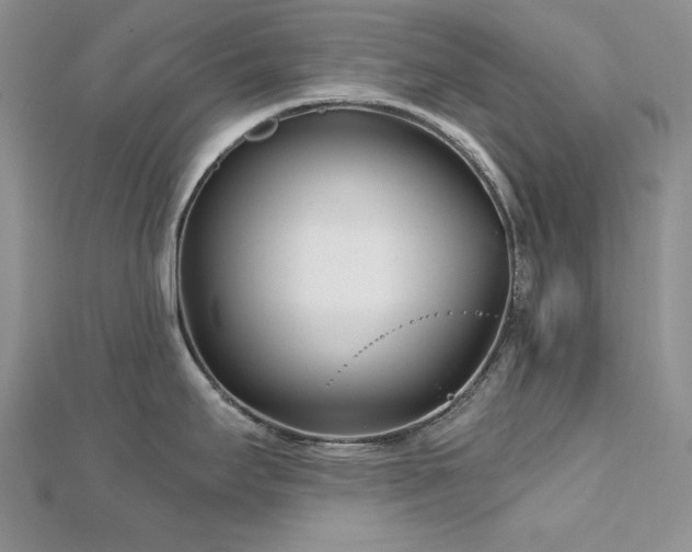 X0000113161295200909041247