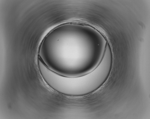 X0000113161296200909041247