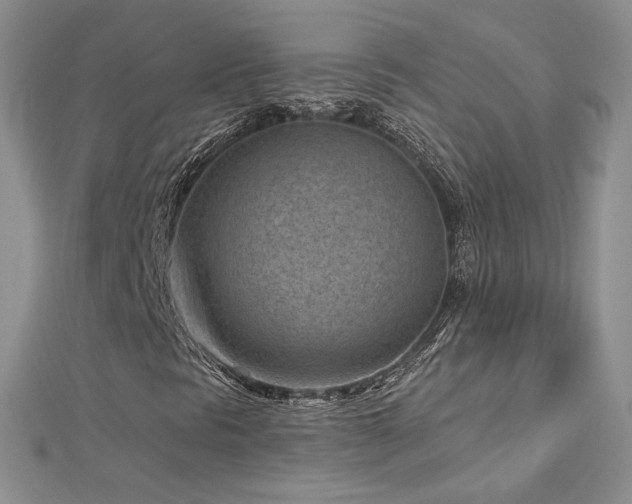 X0000113161297200909041246