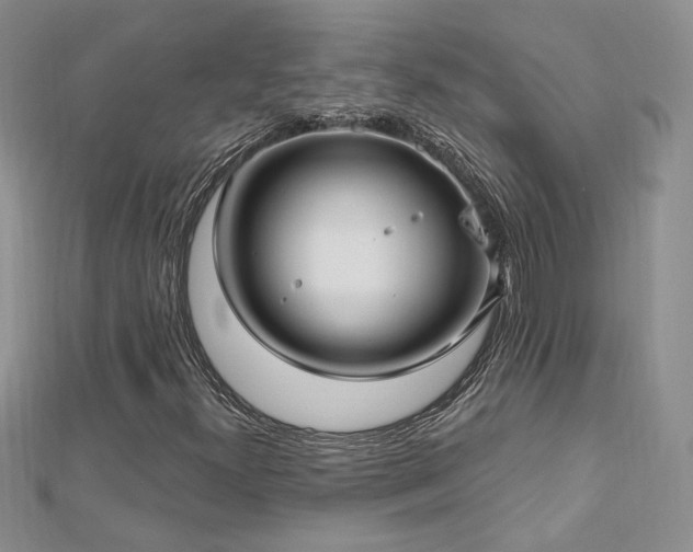 X0000113161300200909041246