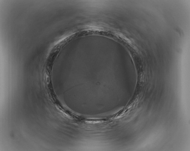 X0000113161303200909041246