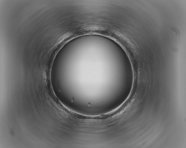 X0000113161305200909041247