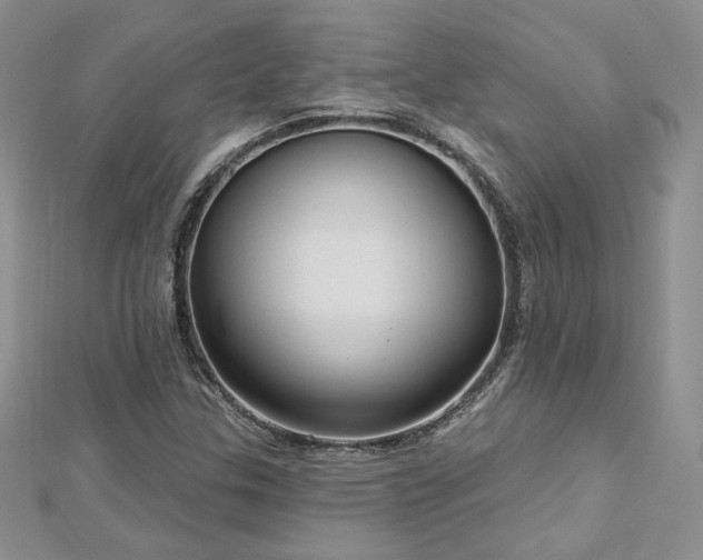 X0000113161307200909041247