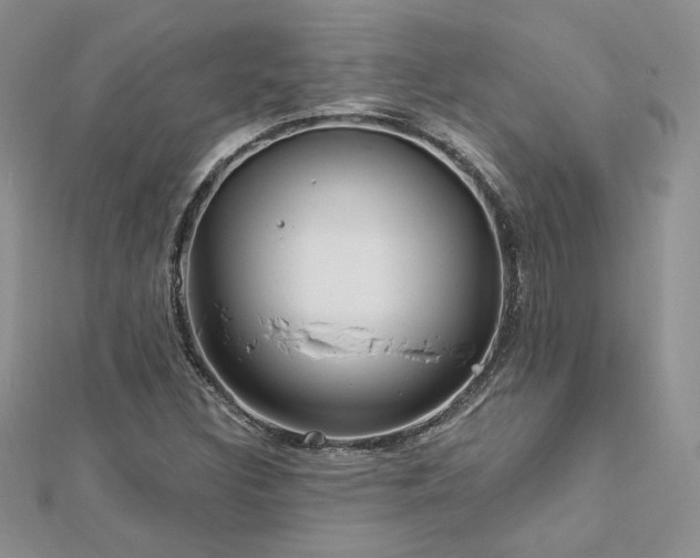 X0000113161308200909041247