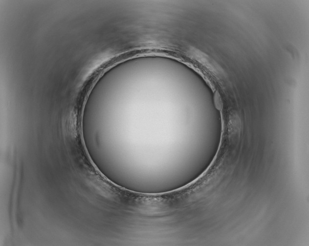 X0000113161310200909041247