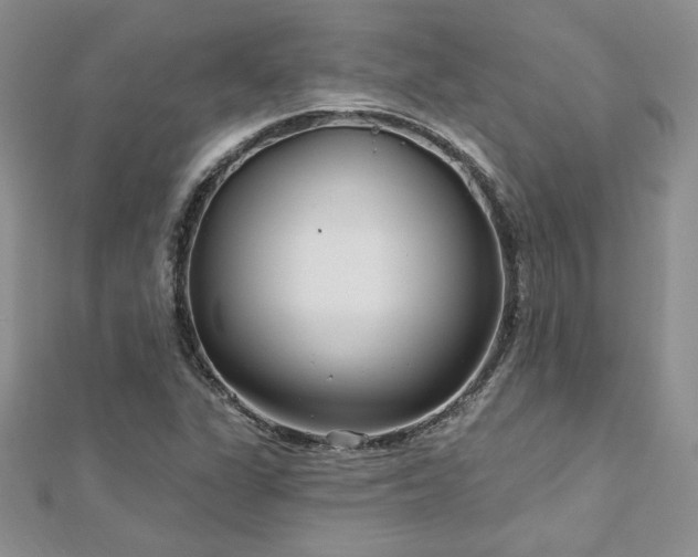 X0000113161311200909041247