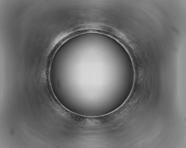 X0000113161312200909041247
