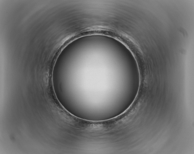 X0000113161313200909041247