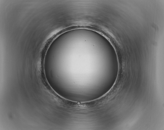 X0000113161315200909041247