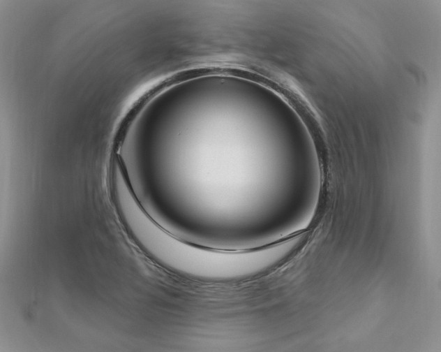 X0000113161320200909041247