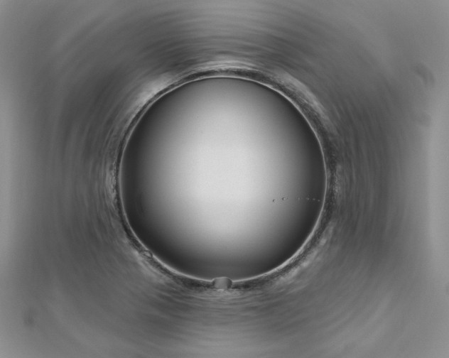 X0000113161321200909041247