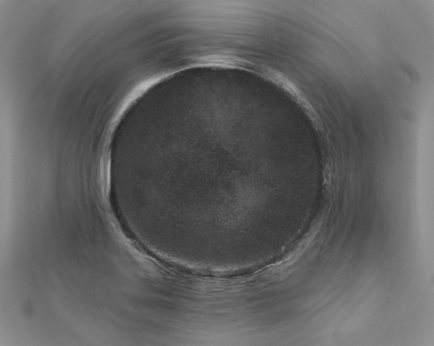 X0000113161323200909041247