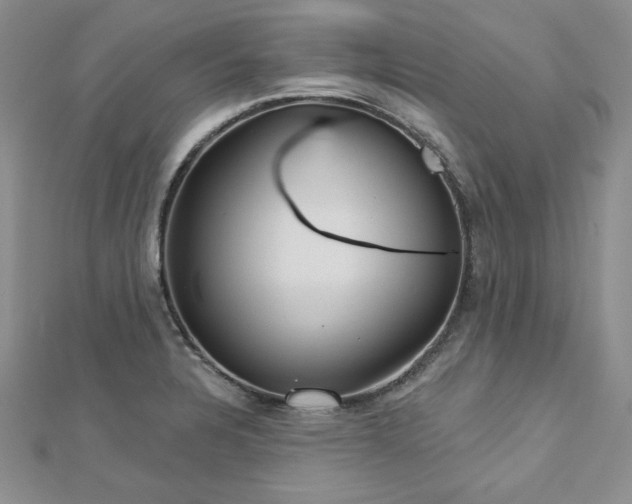 X0000113161328200909041247