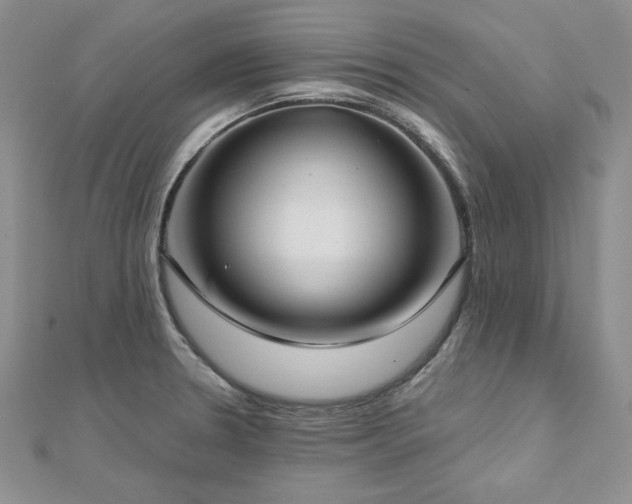 X0000113161330200909041247