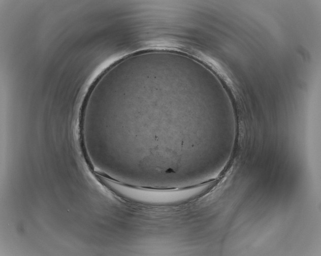 X0000113161331200909041247