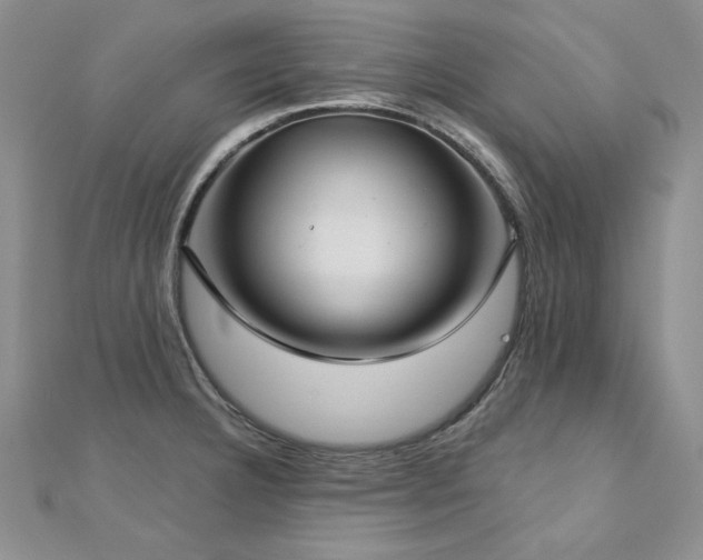 X0000113161332200909041247