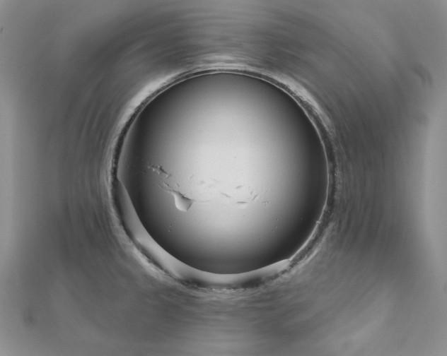 X0000113161333200909041247