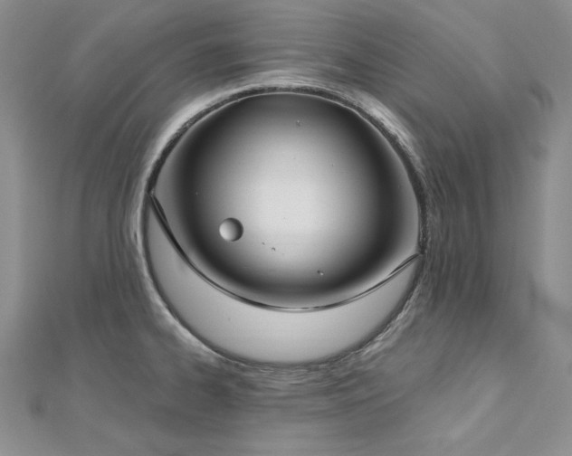 X0000113161334200909041247
