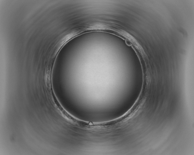 X0000113161337200909041247