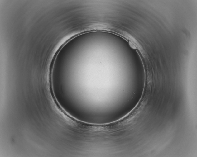 X0000113161339200909041247