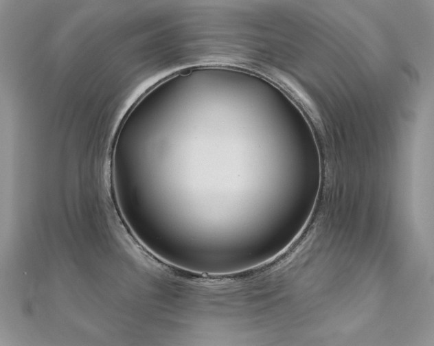 X0000113161340200909041247
