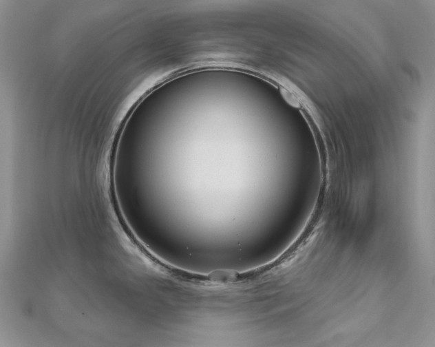 X0000113161341200909041247