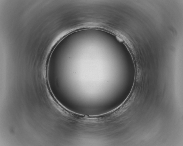 X0000113161342200909041247