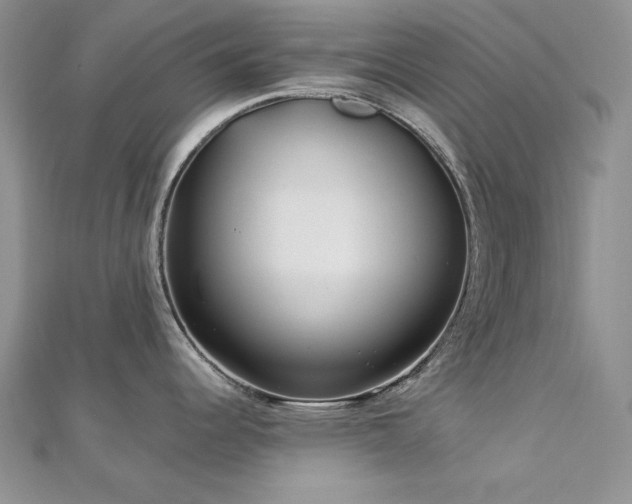 X0000113161344200909041247