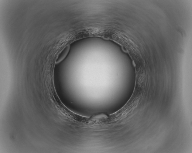 X0000113161345200909041246