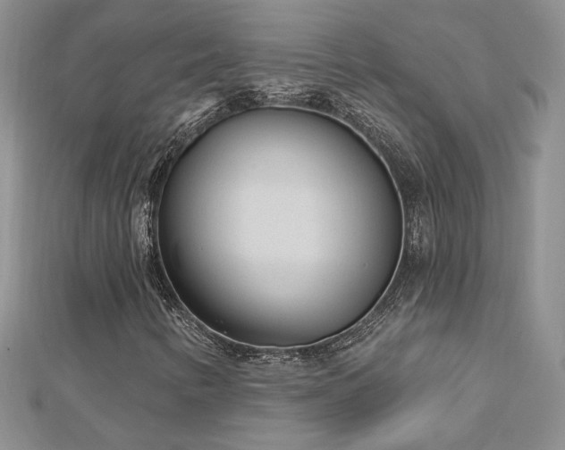 X0000113161346200909041246